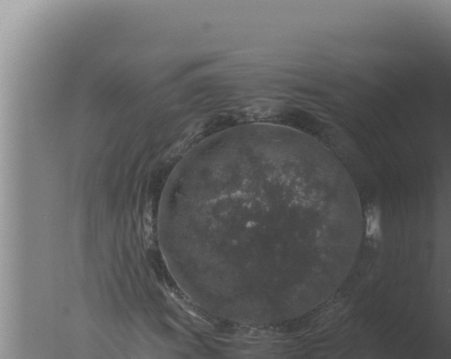 X0000077381011200610271940