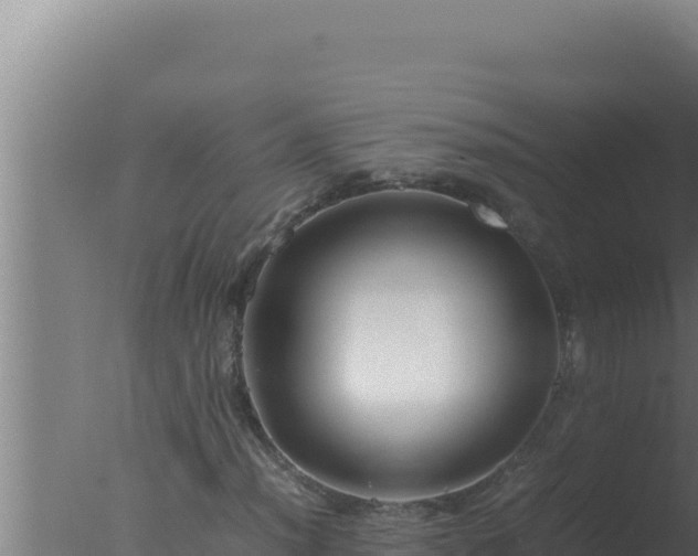 X0000077381012200610271940