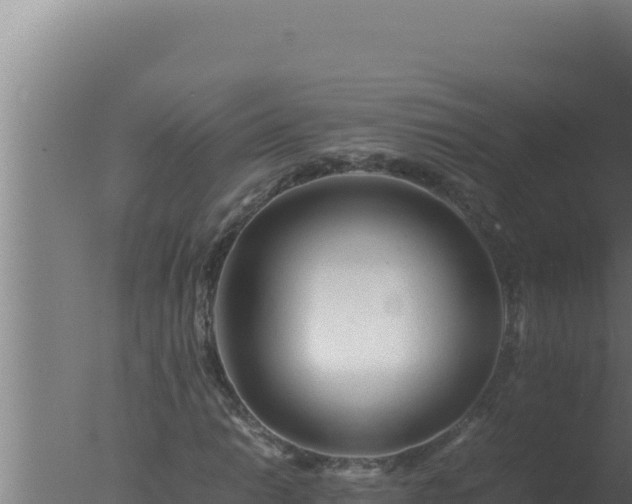 X0000077381014200610271940