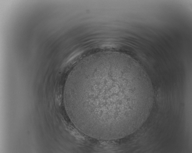 X0000077381015200610271940