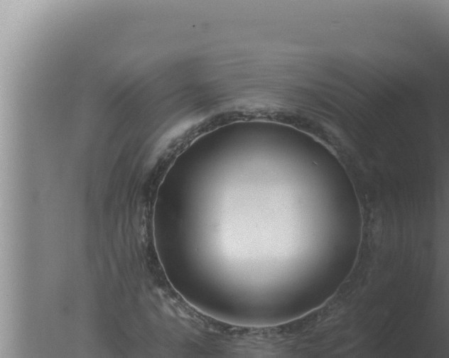 X0000077381016200610271940