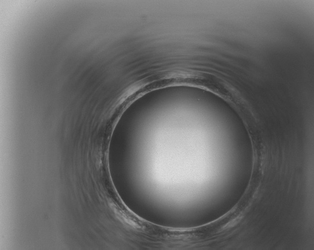 X0000077381017200610271940