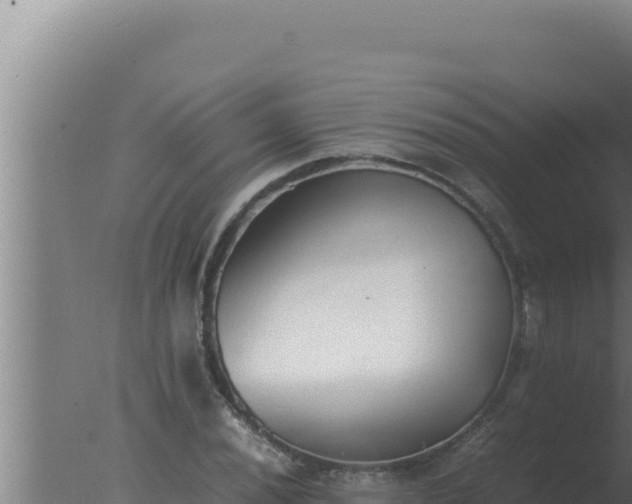 X0000077381020200610271940