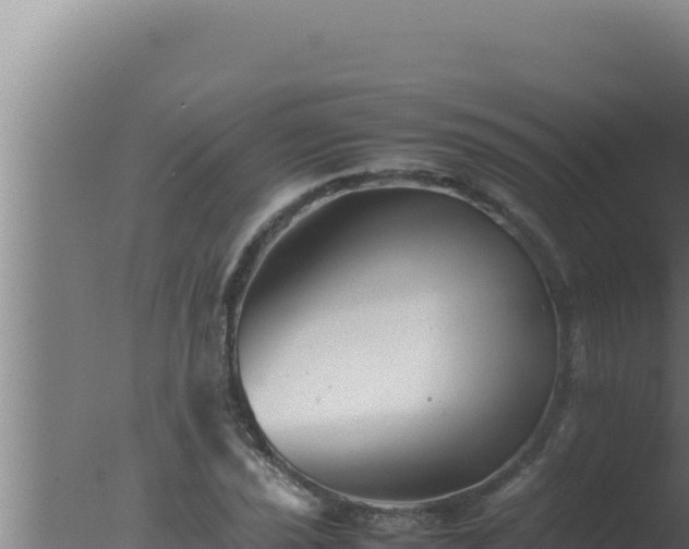 X0000077381021200610271940