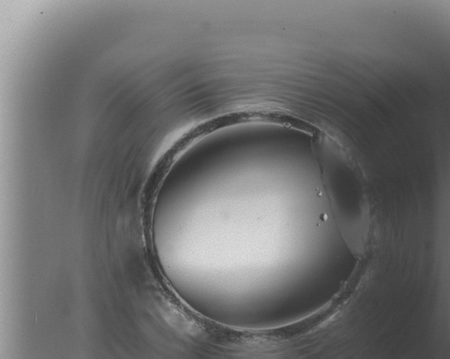 X0000077381022200610271940