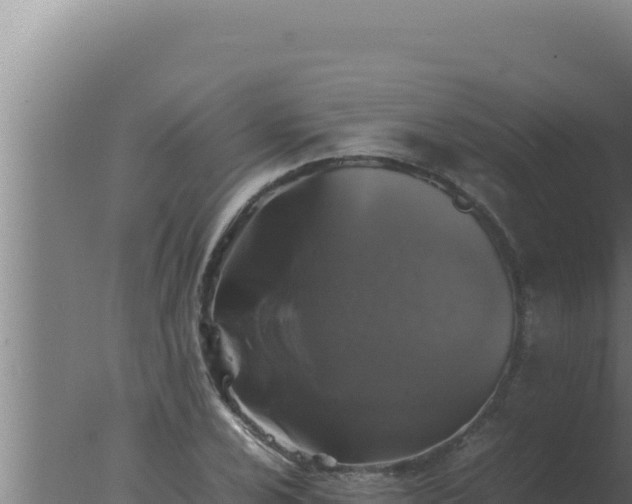 X0000077381024200610271940