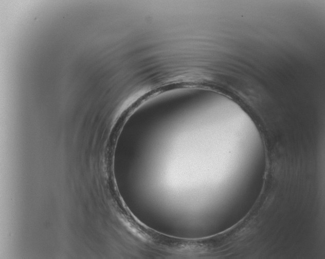 X0000077381026200610271940