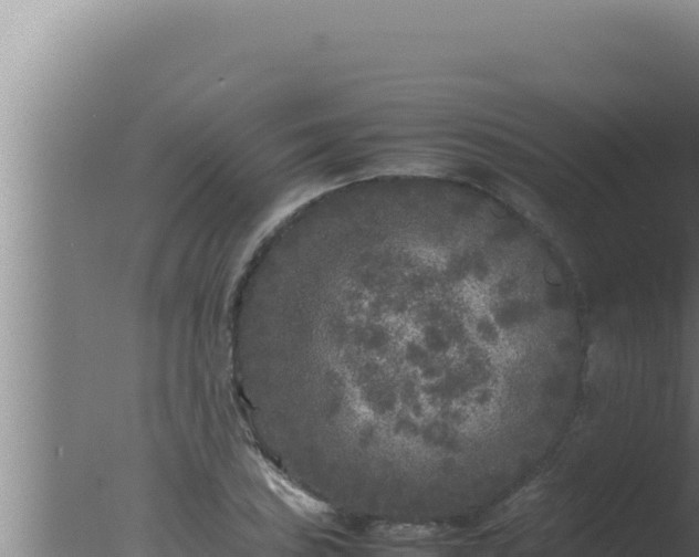 X0000077381027200610271940