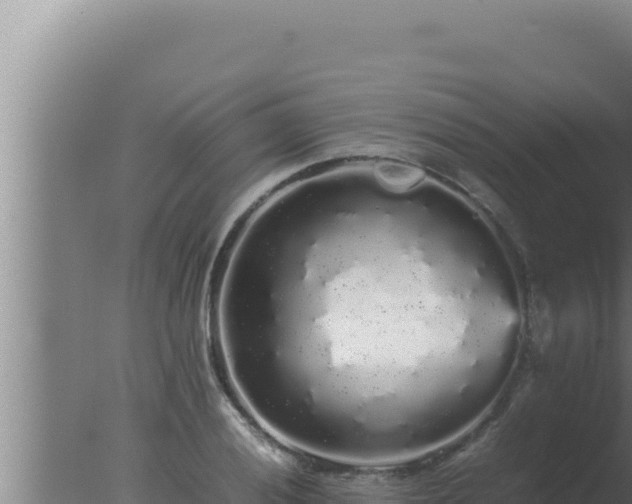 X0000077381028200610271940