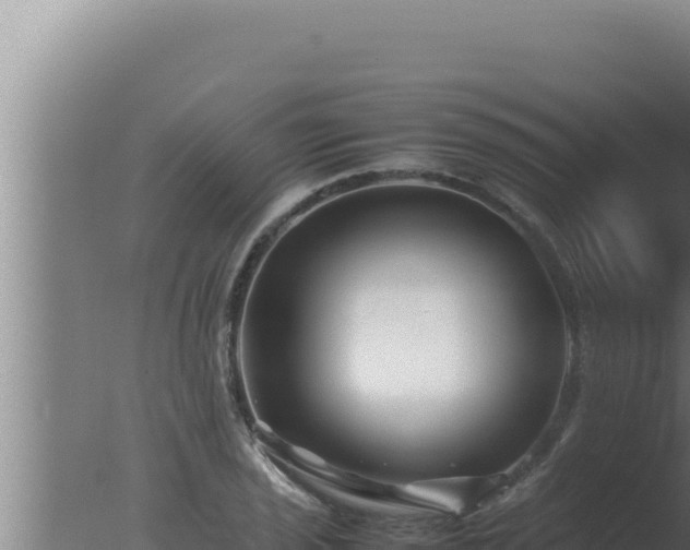 X0000077381029200610271940