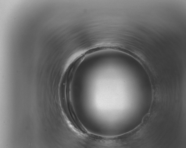 X0000077381030200610271941