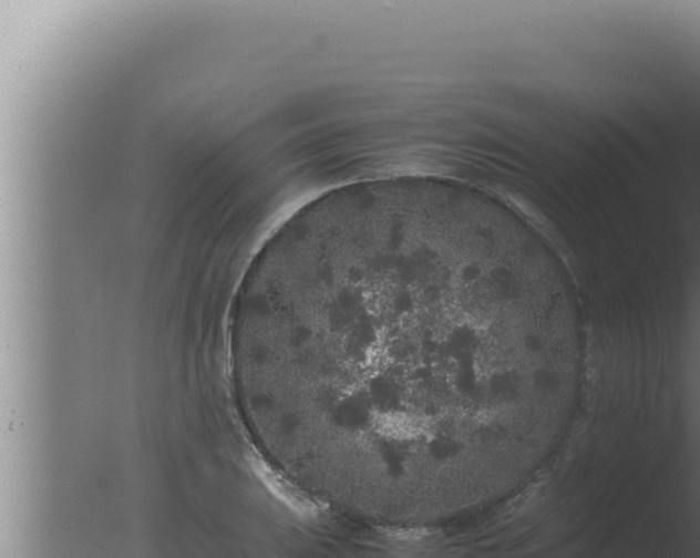 X0000077381031200610271941