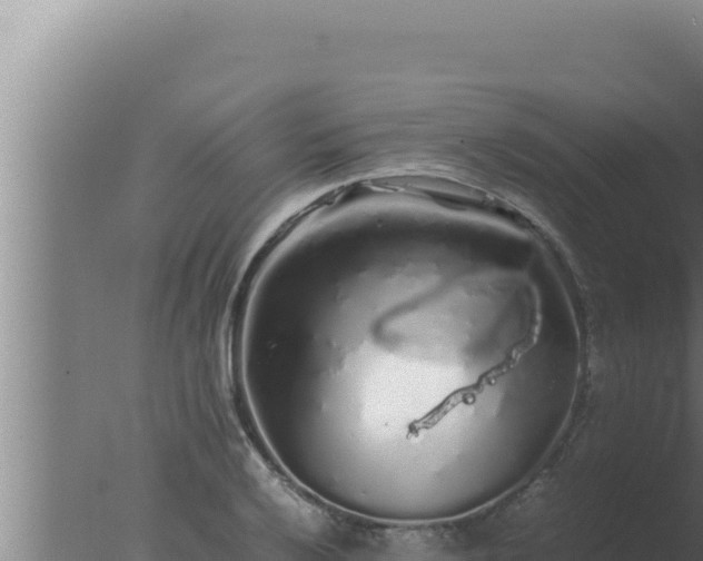 X0000077381032200610271941