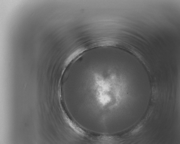 X0000077381034200610271941