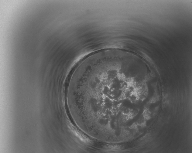 X0000077381035200610271941