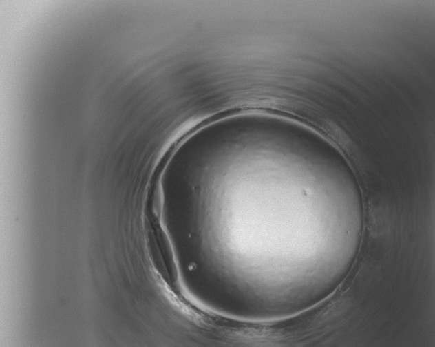 X0000077381036200610271941