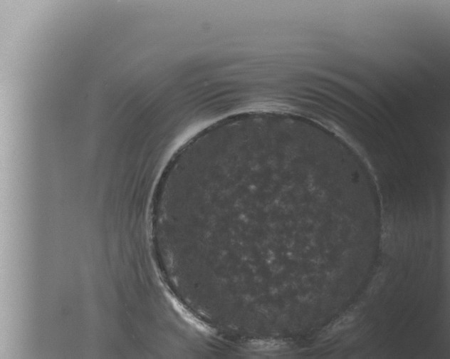 X0000077381037200610271941