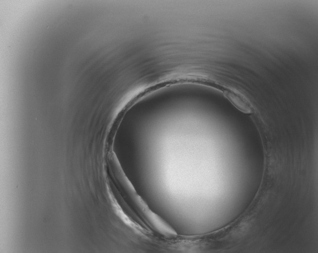 X0000077381038200610271941