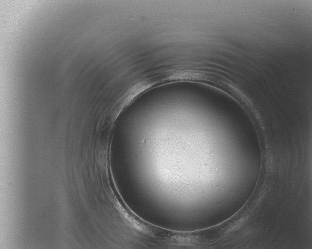 X0000077381041200610271941