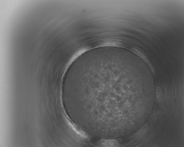 X0000077381043200610271941