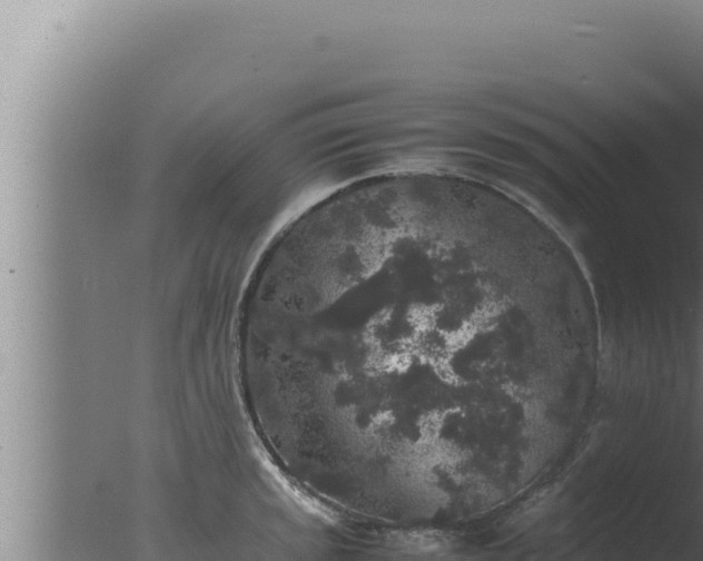 X0000077381045200610271941