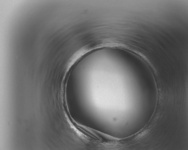 X0000077381046200610271941