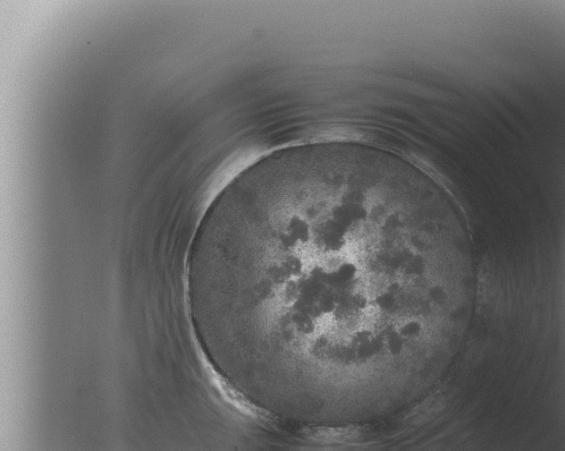 X0000077381047200610271941