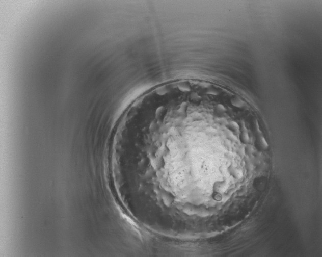 X0000077381048200610271941