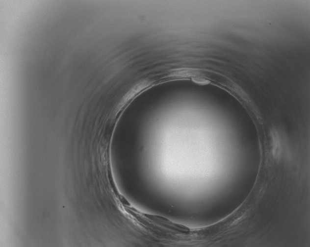 X0000077381049200610271941