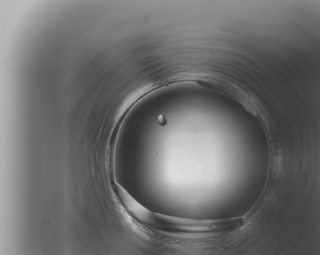 X0000077381050200610271941