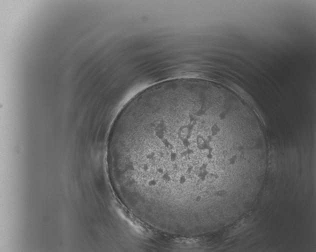 X0000077381051200610271941