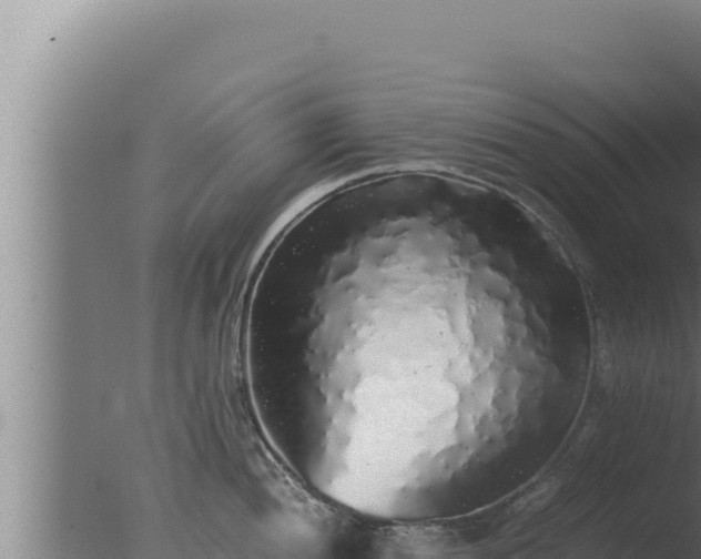 X0000077381052200610271941