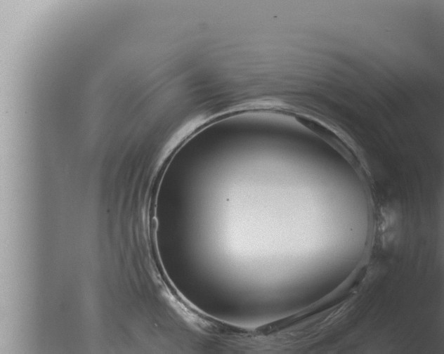 X0000077381054200610271941