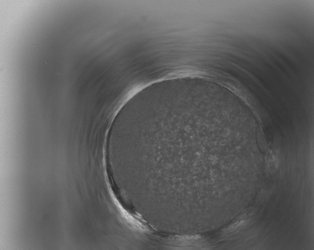 X0000077381055200610271941