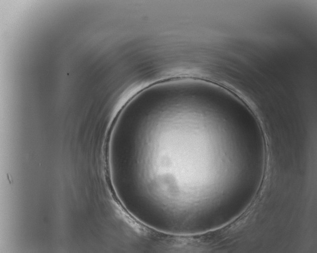 X0000077381056200610271941