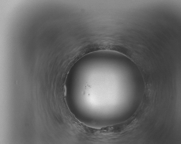 X0000077381057200610271940