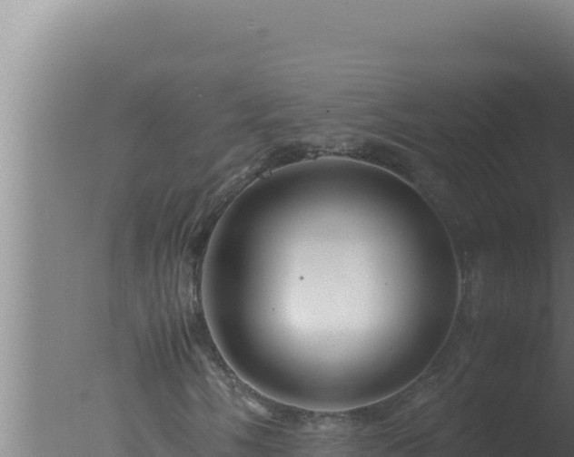 X0000077381058200610271940