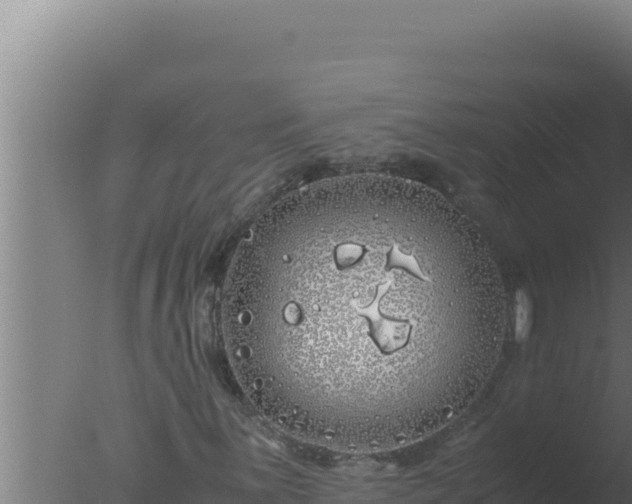 X0000077381059200610271940