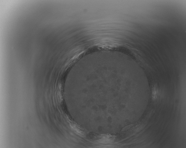 X0000077381060200610271940