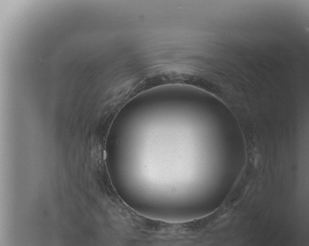 X0000077381061200610271940