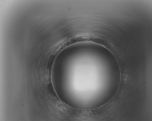 X0000077381062200610271940