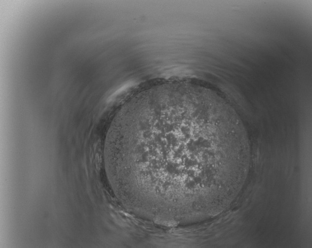 X0000077381063200610271940