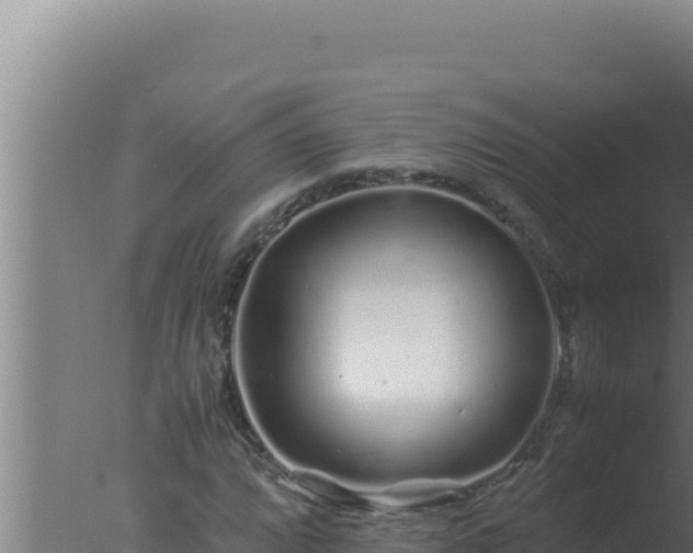 X0000077381064200610271940