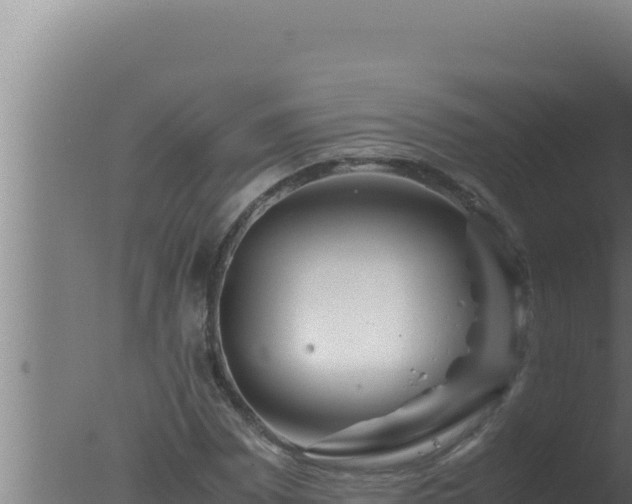 X0000077381065200610271940