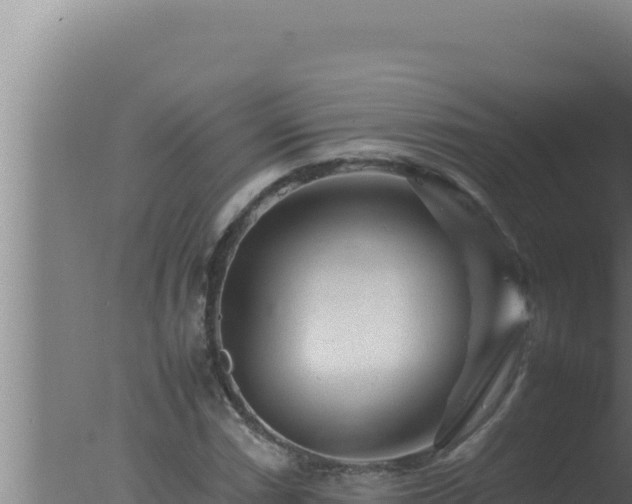 X0000077381066200610271940