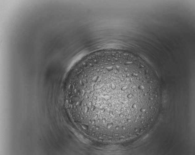 X0000077381067200610271940