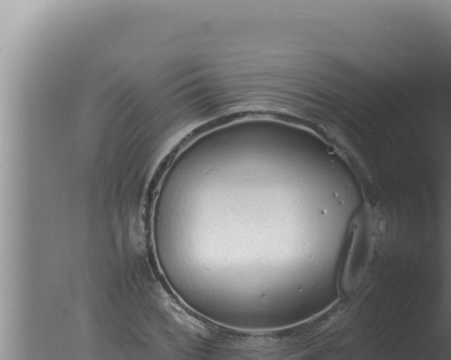 X0000077381068200610271940