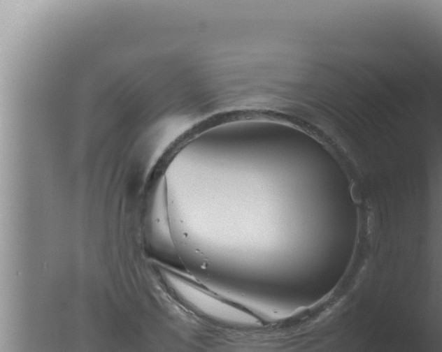 X0000077381069200610271940