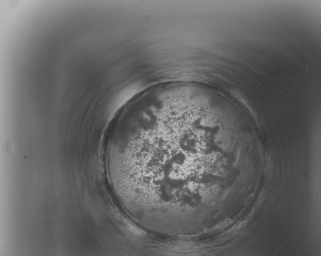 X0000077381071200610271940