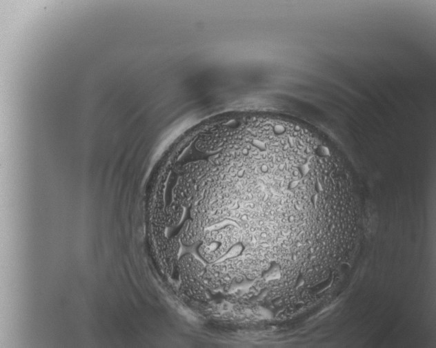 X0000077381075200610271940